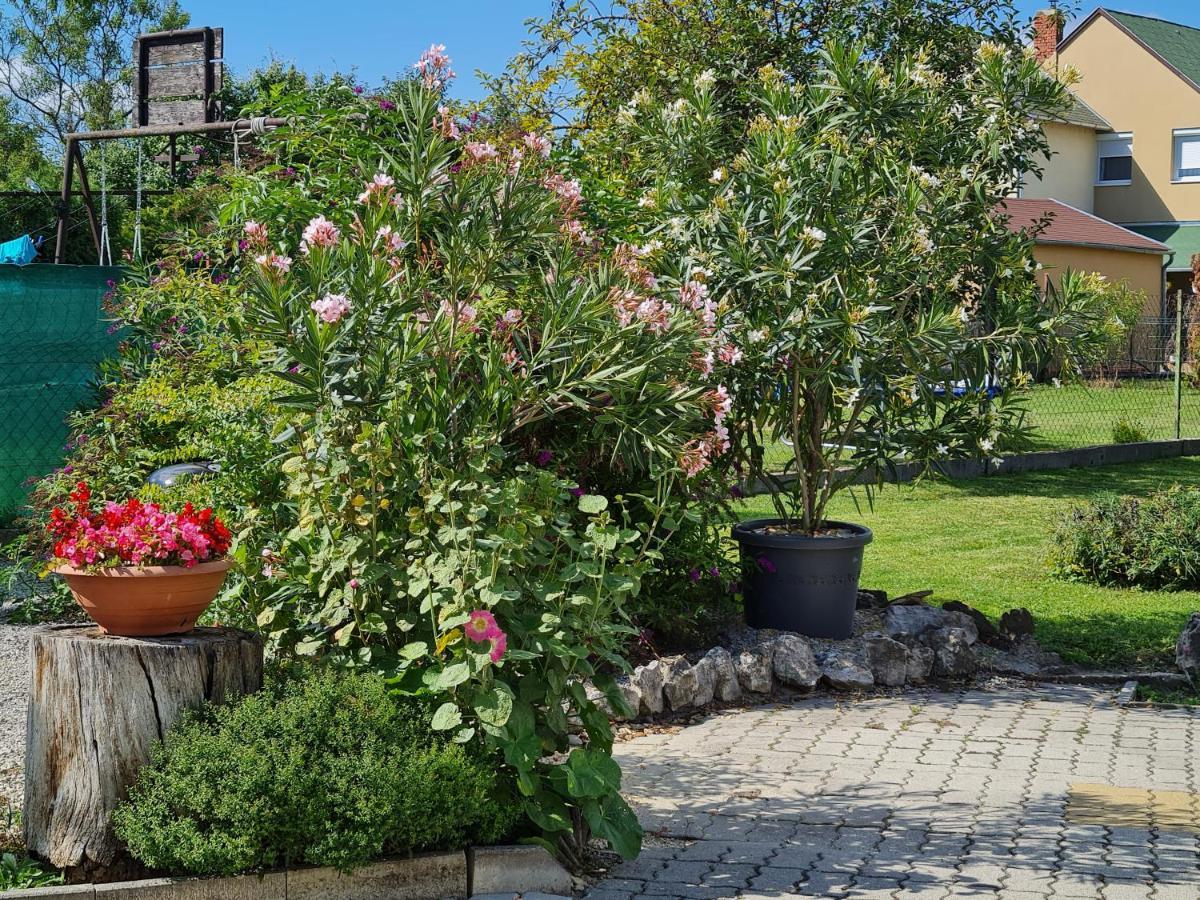 Ginger House Apartment Кестхей Экстерьер фото