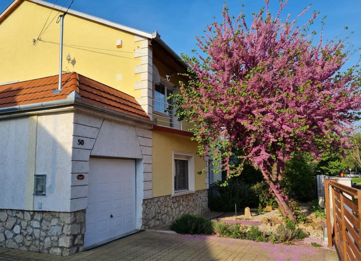 Ginger House Apartment Кестхей Экстерьер фото
