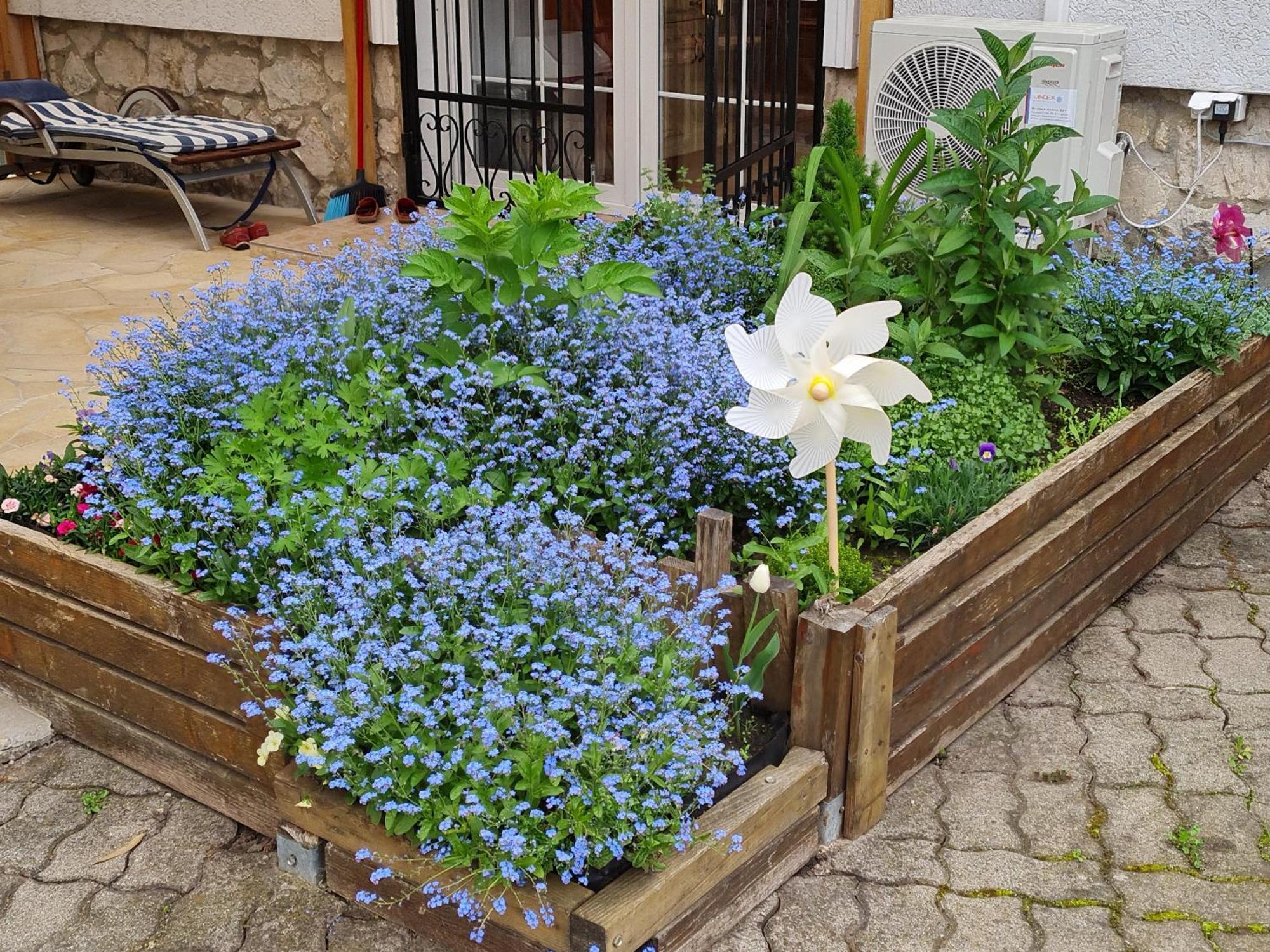 Ginger House Apartment Кестхей Экстерьер фото